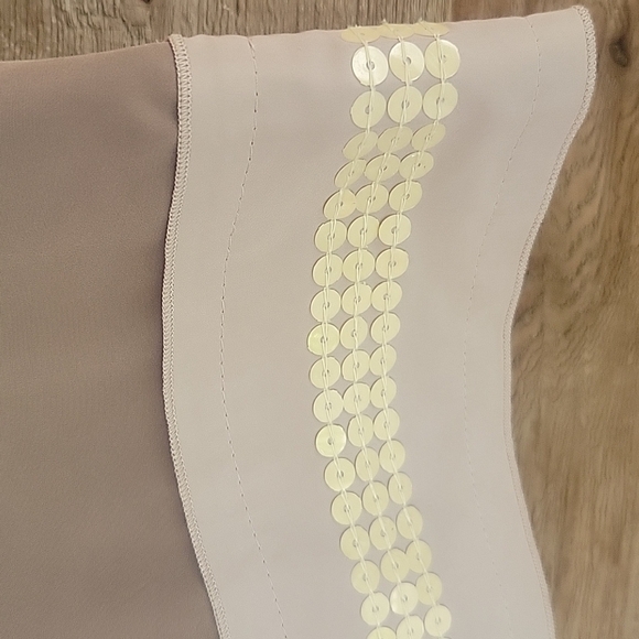 Loft Brown Sleeveless Top with Cream Sequin Trim Size XSmall - Picture 2 of 6